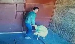 羊视频被爆料,揭秘网络红人背后惊人真相